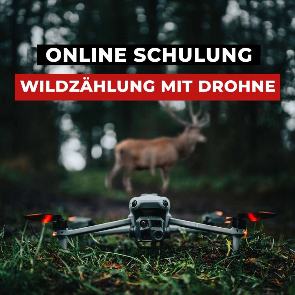 Online Schulung: Wildzählung mit Drohnen