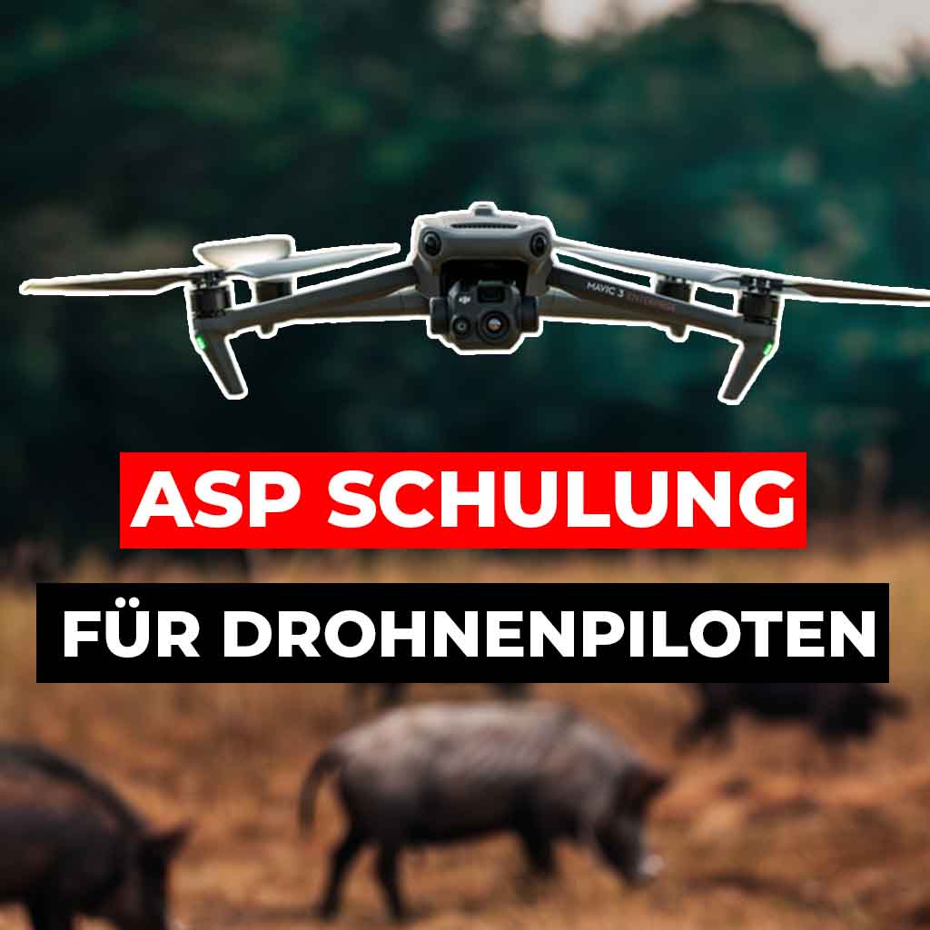 Vor Ort Schulung ASP