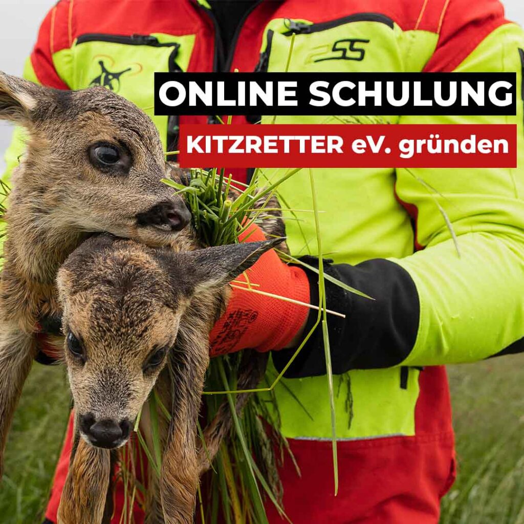 Online Schulung: Kitzretter eV. gründen