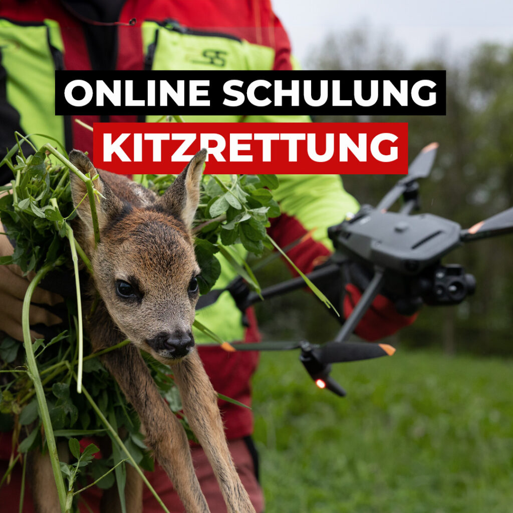 Online Schulung: Kitzretter Kurs