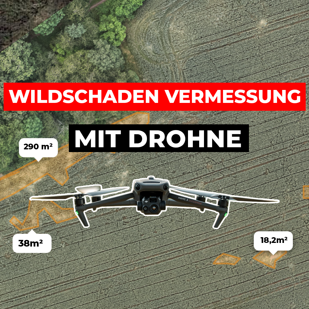 Online Schulung: Wildschaden Vermessung mit Drohne