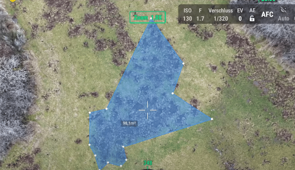 Wildschaden in der Wiese