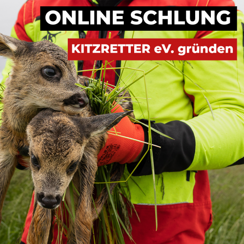 Onlineschulung Kitzretter Verein gründen