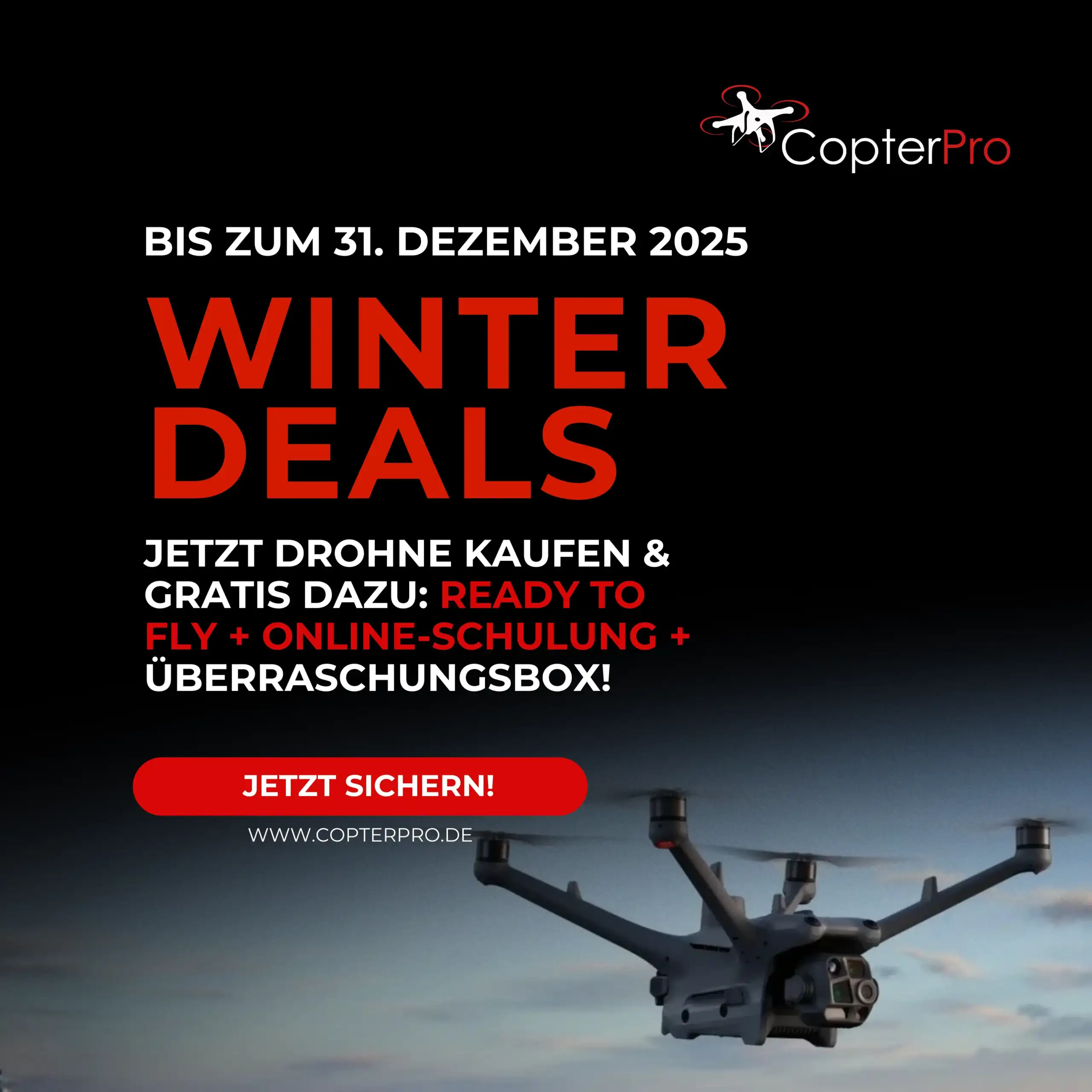 Ready to Fly und online Schulung gratis