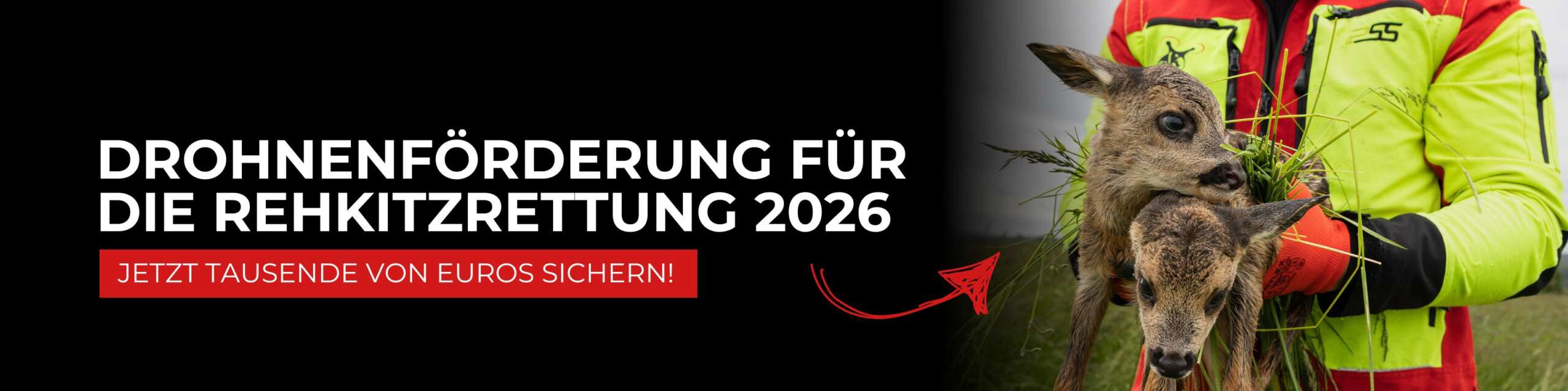 Förderung 2026